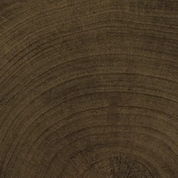 Dlažba Dlažba Emil W-Circles wenge 10x10 cm mat 00ENJF68