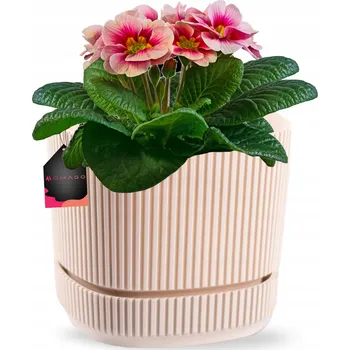 Květináč Květináč plast béžový OMAGO 13 cm x 13 x 12 cm