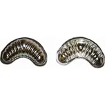 Smolík Cookie Cutters s.r.o. SADA FORMIČEK - ROHLÍČKY (MALÉ) 20ks