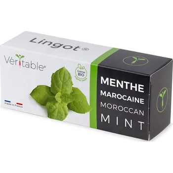 Detektor CO Véritable Lingot Marocká máta - BIO (VLIN-A10-Men056)