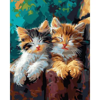 Malování podle čísel iPicasso 40x50 cm na rámu