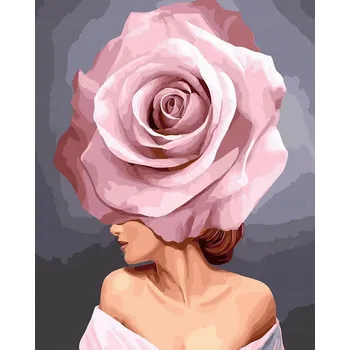 Malování podle čísel iPicasso 40x50 cm na rámu