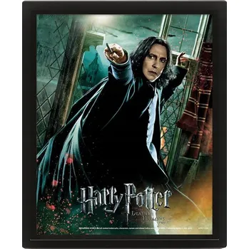 Obraz Plakát 3D v rámu Harry Potter Relikvie Smrti Snape 20x25 cm na zeď