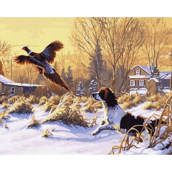 Malování podle čísel iPicasso 40x50 cm na rámu