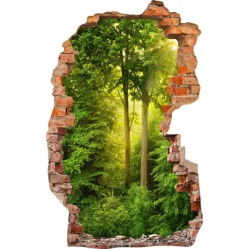 Fototapeta Nálepky na zeď fototapeta díra 654 Les