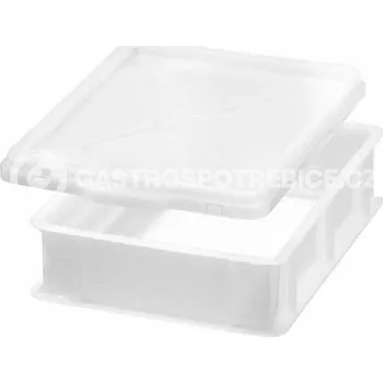 Pec na pizzu OEM Přepravka na pizza těsta (300x400x100 mm)