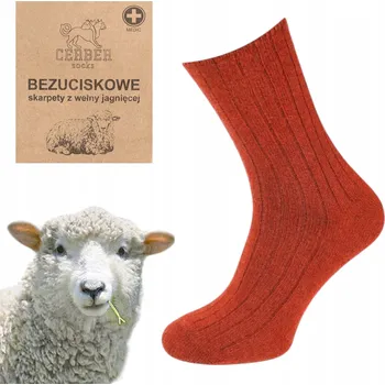 Pánské ponožky Ponožky CERBER oranžové velikosti 45-47