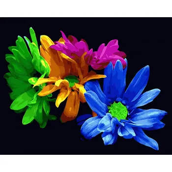 Malování podle čísel iPicasso 40x50 cm na rámu