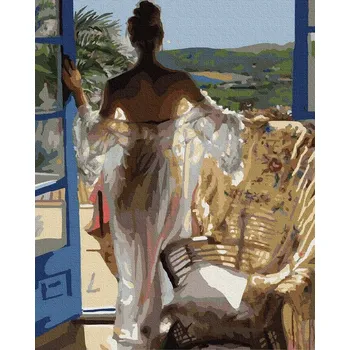 Malování podle čísel iPicasso 40x50 cm na rámu