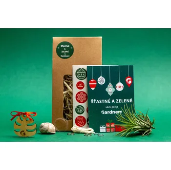 kreativní sada Gardners Vánoční dárková sada - Šnek "Vyrob si sám" s Tillandsií ionantha green Tillandsie, kykatka