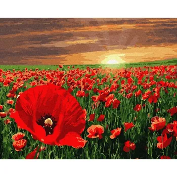 Obraz Malování podle čísel iPicasso 40x50 cm na rámu