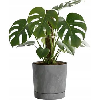 Květináč Kryt na kulatý Květináč , tmavě šedý beton, ø23, 9 Cm