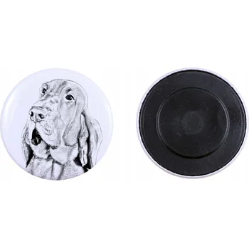 Obraz Bloodhound, Pes sv. Huberta - magnet s psím mazlíčkem, výjimečně lehká, silná