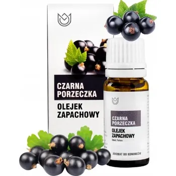 OLEJEK ZAPACHOWY esenciální olej ČERNÝ RYBÍZ 12 ml