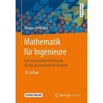 Mathematik fur Ingenieure - RieĂźinger, Thomas