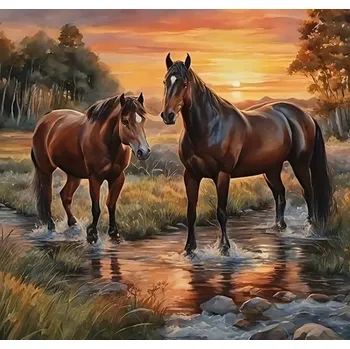 Obraz Diamantová mozaika Dva hnědí koně v proudu 30x40 cm Kreativní