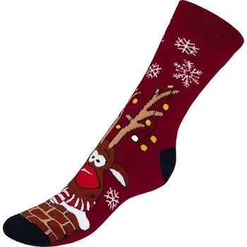 Pánské ponožky Ponožky Termo Rudy 7 Červená BX1001219 - 42-46