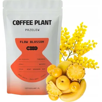 Káva Káva zrnková Arabica COFFEE PLANT FLOW Blossom 100 g