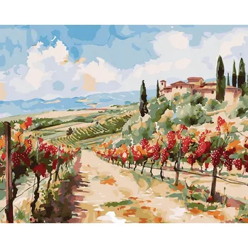 Obraz Malování podle čísel iPicasso 40x50 cm na rámu