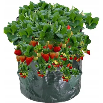 Květináč Zelený plast Květináč NetPrice.pl 26 cm x 26 x 35 cm