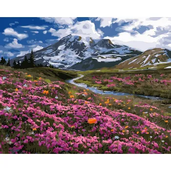 Obraz Malování podle čísel iPicasso 40x50 cm na rámu