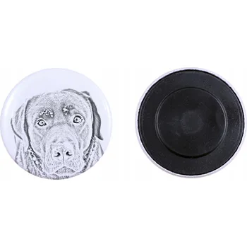 Obraz Labradorský retrívr - magnet s psím mazlíčkem, výjimečně lehká, silná magnet,