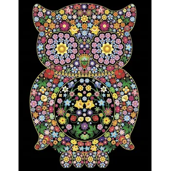Obraz Omalovánky ColorVelvet sovy v květinách 47 x 35 cm