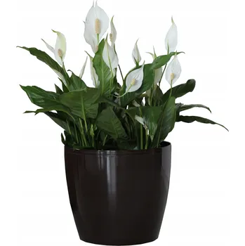 Květináč Květináč obal lesklý Černý 18x15,9 cm