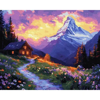 Obraz Malování podle čísel iPicasso 40x50 cm na rámu