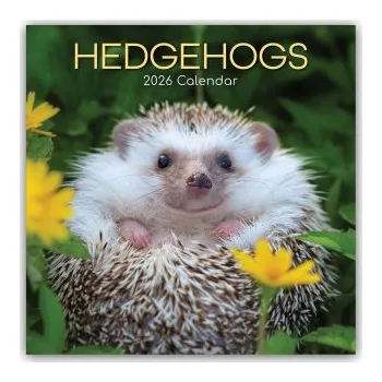 Diář Hedgehogs - Igel 2026 - 16-Monatskalender (EN)