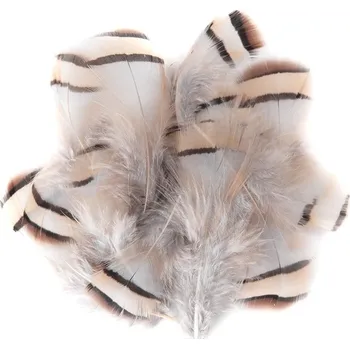 Dekorační bažantí pírka světlé / 15 kusů