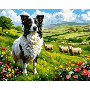 Malování podle čísel iPicasso 40x50 cm na rámu