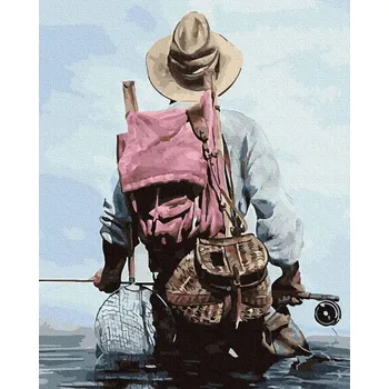 Malování podle čísel iPicasso 40x50 cm na rámu