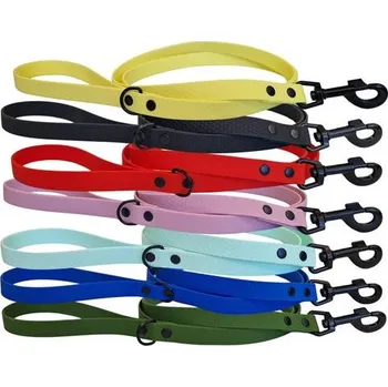 Vodítko pro psa Vinylové vodítko klasické 150 cm / 2 cm - Zelená