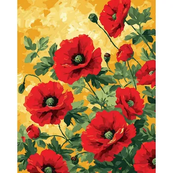 Malování podle čísel iPicasso 40x50 cm na rámu