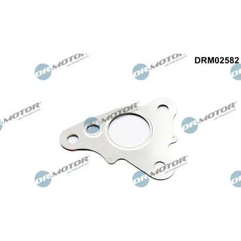 Ventil palivového systému Těsnění, vedení agr ventilu, DRM02582