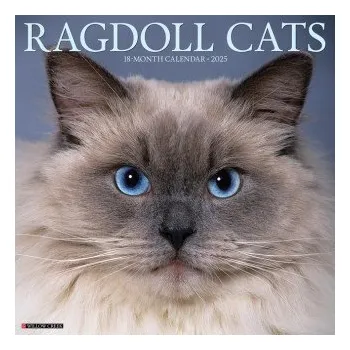 Kalendář Ragdoll Cats 2026 12 X 12 Wall Calendar (Brožovaná)