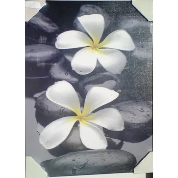 Zahradní dekorace Obraz KB 1 - černé pozadí s bílými květy