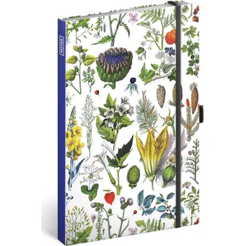 Diář Notique Notes Bylinky Kateřiny Winterové, tečkovaný, 13 × 21 cm