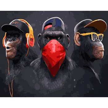 Malování podle čísel iPicasso 40x50 cm na rámu