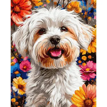 Malování podle čísel iPicasso 40x50 cm na rámu