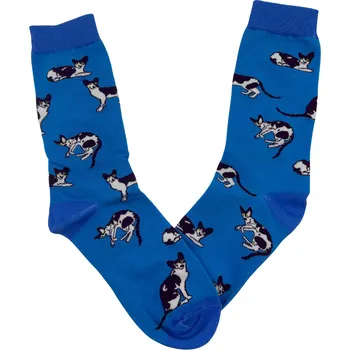 Pánské ponožky Modré ponožky Siamská kočka