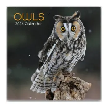 Diář Owls - Eulen 2026 - 16-Monatskalender (EN)