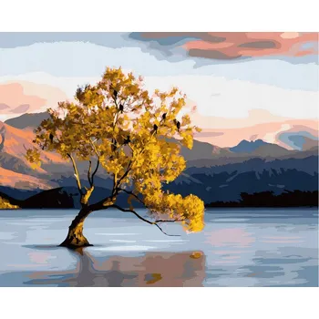 Obraz Malování podle čísel iPicasso 40x50 cm na rámu