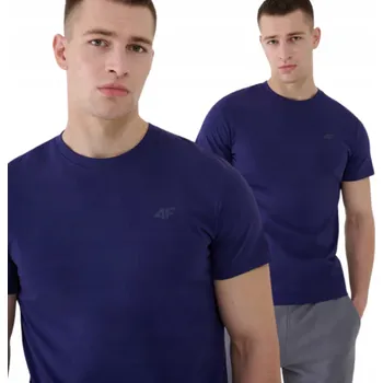 Pánské tričko Pánské tričko 4F T-shirt TSHM2256 31S XXL