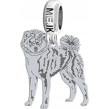 Přívěsek Modulární stříbrný přívěsek Akita Japońska 925 Žena Dárek DEDIKACE