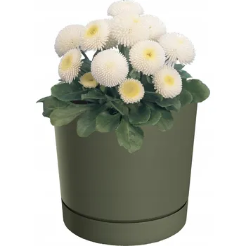 Květináč Květináč plast zelený Botle 19,9 cm x 19,9 x 19,6 cm