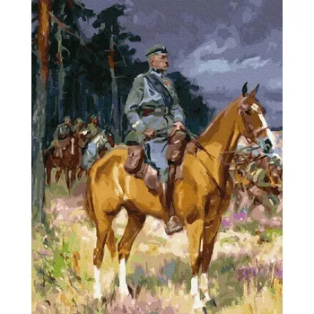 Malování podle čísel iPicasso 40x50 cm na rámu