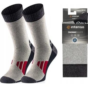 Pánské ponožky Ponožky Intenso 0747_A02 šedé, velikost 41-43
