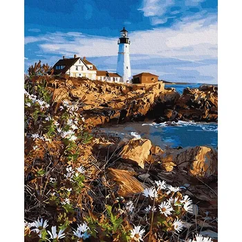 Malování podle čísel iPicasso 40x50 cm na rámu